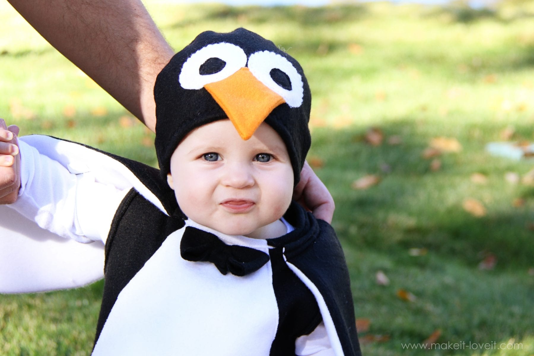 Newborn best sale penguin costume