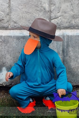 homemade perry the platypus costume